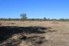 9 ,10, 11 & 217 ROMA TAROOM ROAD, Taroom, Qld 4420-Image