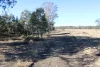 9 ,10, 11 & 217 ROMA TAROOM ROAD, Taroom, Qld 4420-Image