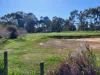9 Plover Place, Bakers Hill, WA 6562-Image