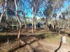 9 Plover Place, Bakers Hill, WA 6562-Image