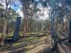 9 Plover Place, Bakers Hill, WA 6562-Image