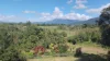 90 Kruckow Road, East Russell, Qld 4861-Image