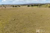 90 Winchester Crescent, Cooks Gap, NSW 2850-Image