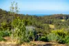 9052 Princes Highway, Tilba Tilba, NSW 2546-Image