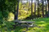 9052 Princes Highway, Tilba Tilba, NSW 2546-Image