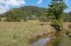 91, Dungay NSW 2484-Image