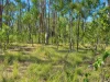 91 Jenny Lind Lane, Tabulam, NSW 2469-Image