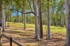 91 Jenny Lind Lane, Tabulam, NSW 2469-Image