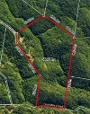 91 Jenny Lind Lane, Tabulam, NSW 2469-Image