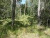 91 Jenny Lind Lane, Tabulam, NSW 2469-Image