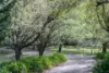 91 Koolilabah Lane, Penrose, NSW 2579-Image