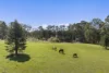 91 Koolilabah Lane, Penrose, NSW 2579-Image