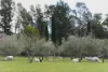 91 Koolilabah Lane, Penrose, NSW 2579-Image