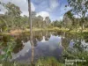 92 Mcnicholl, Wattle Camp, Qld 4615