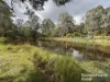 92 Mcnicholl, Wattle Camp, Qld 4615-Image
