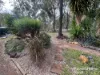 92 Mcnicholl, Wattle Camp, Qld 4615-Image