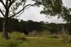 920 East Evelyn Road, Evelyn, Qld 4888-Image