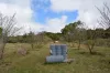 920 East Evelyn Road, Evelyn, Qld 4888-Image