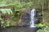 920 East Evelyn Road, Evelyn, Qld 4888-Image