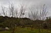 920 East Evelyn Road, Evelyn, Qld 4888-Image