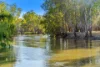 92A Boiling Down Lane, Corowa, NSW 2646-Image