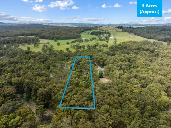 93 Feeneys Lane, Benloch, Vic 3435-Image
