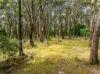 93 Feeneys Lane, Benloch, Vic 3435-Image