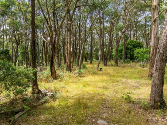 93 Feeneys Lane, Benloch, Vic 3435-Image