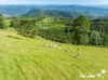 933 Innes View Road, Innes View, NSW 2429-Image