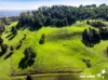 933 Innes View Road, Innes View, NSW 2429-Image