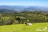933 Innes View Road, Innes View, NSW 2429-Image