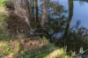 936 Mirannie Road, Singleton, NSW 2330-Image