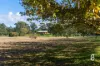 936 Mirannie Road, Singleton, NSW 2330-Image