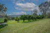 937 Allyn River Road, East Gresford, NSW 2311-Image