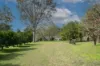 937 Allyn River Road, East Gresford, NSW 2311-Image
