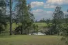 937 Allyn River Road, East Gresford, NSW 2311-Image