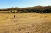 937 Boro Road, Boro, NSW 2622