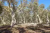 937 Boro Road, Boro, NSW 2622-Image