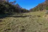 937 Boro Road, Boro, NSW 2622-Image