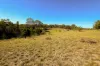 937 Boro Road, Boro, NSW 2622-Image