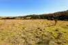 937 Boro Road, Boro, NSW 2622-Image