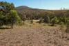 937 Boro Road, Boro, NSW 2622-Image