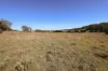 937 Boro Road, Boro, NSW 2622-Image
