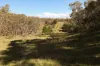 937 Boro Road, Boro, NSW 2622-Image