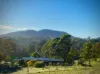 94 Israels Road, Verona, NSW 2550