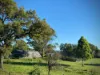 94 Israels Road, Verona, NSW 2550-Image
