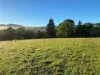 94 Israels Road, Verona, NSW 2550-Image