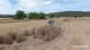 946 Eulah Creek Road, Narrabri, NSW 2390-Image