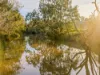 95 Dears Lane, Stonehaven, Vic 3218-Image