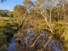 95 Dears Lane, Stonehaven, Vic 3218-Image